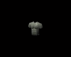 Fighter Torso Old School Completion